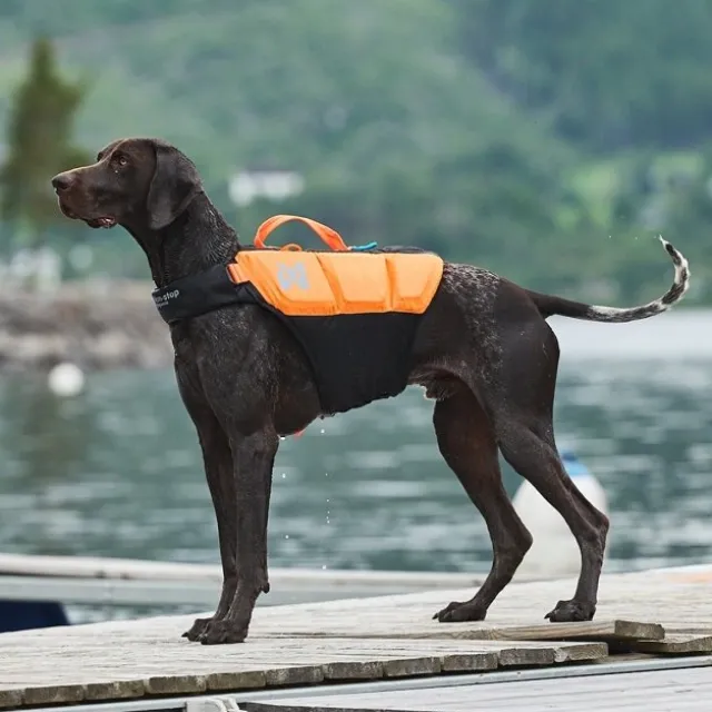 Non-Stop Dogwear Protector Redningsvest til hund, Oransje & Svart