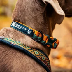 Non-stop Dogwear Trail Quest Rachel Pohl halsbånd Brun