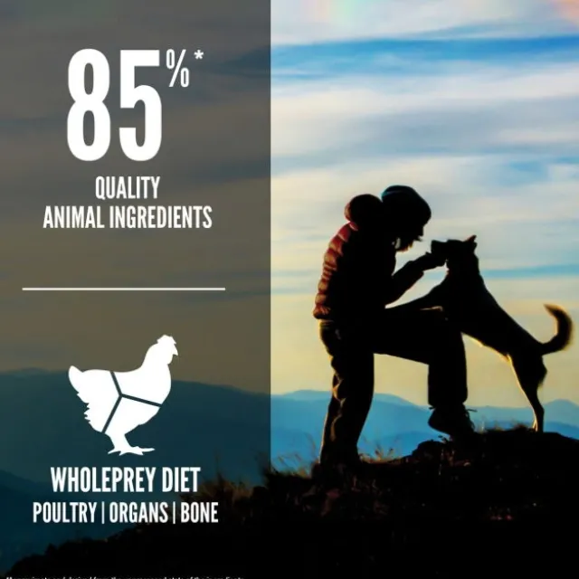 Orijen Dog Original