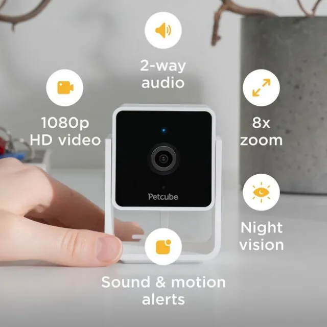 Petcube Cam Husdyrskamera med Lyd 1080p HD 2 way audio