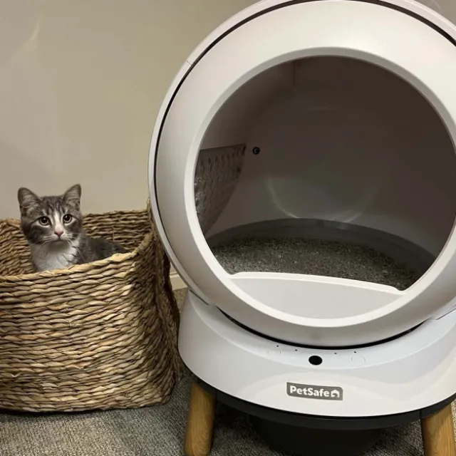 PetSafe SmartSpin Selvrensende Kattetoalett