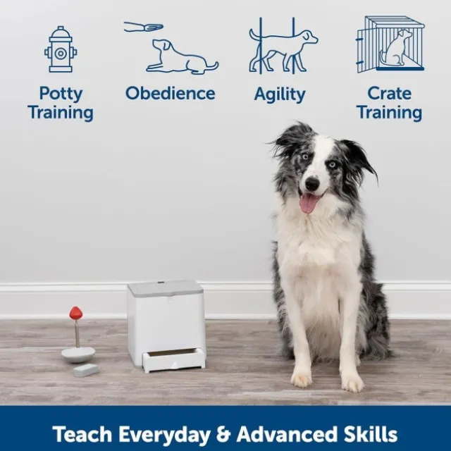 PetSafe Teach & Treat Godbitautomat med Fjernkontroll