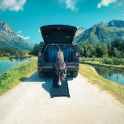 4Pets EasySteps bilrampe for hund sort