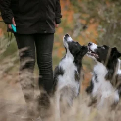 Pro Dog Whizzclick hundefløyte med klikker