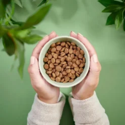 Purenatural Cat Adult Grain Free Turkey & Chicken