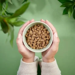Purenatural Cat Sterilised Grain Free Chicken