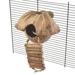 Quapas! Cozy hengende fugleleke med Krypinn Kokosnøtt