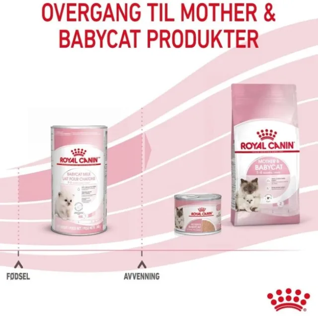 Royal Canin Babycat Milk melk til kattunge
