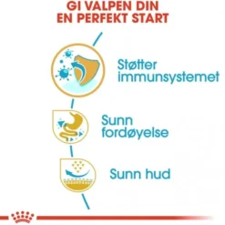 Royal Canin French Bulldog Puppy tørrfôr til hundvalp
