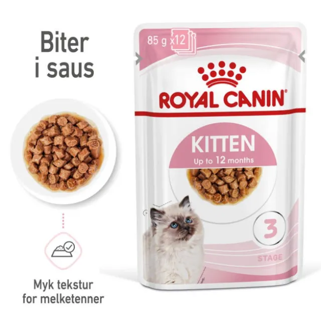Royal Canin Kitten Chunks in Gravy 12x85g