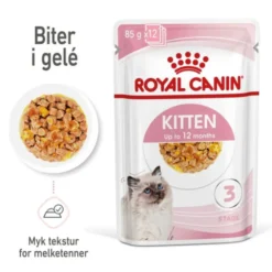 Royal Canin Kitten Jelly våtfôr til kattunge 12x85g