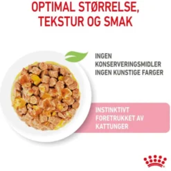Royal Canin Kitten Jelly våtfôr til kattunge 12x85g
