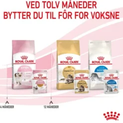 Royal Canin Kitten Jelly våtfôr til kattunge 12x85g