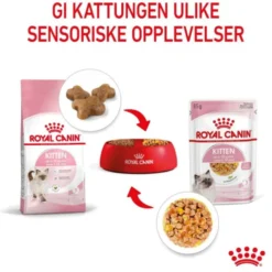 Royal Canin Kitten Jelly våtfôr til kattunge 12x85g