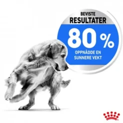 Royal Canin Light Weight Care Medium Adult tørrfôr til hund