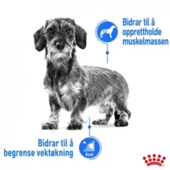 Royal Canin Light Weight Care X-small Adult tørrfôr til hund 1,5kg