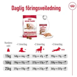 Royal Canin Medium Ageing 10+ tørrfôr til hund