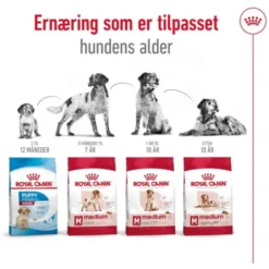 Royal Canin Medium Ageing 10+ tørrfôr til hund
