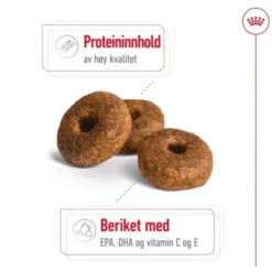 Royal Canin Medium Ageing 10+ tørrfôr til hund