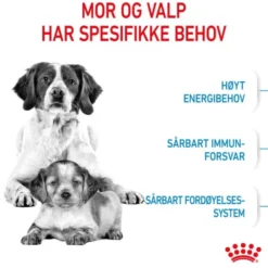 Royal Canin Medium Starter tørrfôr til hund og valp