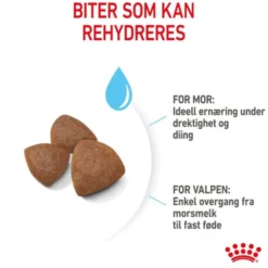 Royal Canin Medium Starter tørrfôr til hund og valp