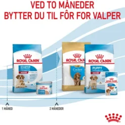 Royal Canin Medium Starter tørrfôr til hund og valp