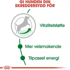 Royal Canin Mini Adult 8+ tørrfôr til hund