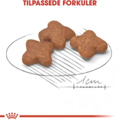 Royal Canin Mini Adult 8+ tørrfôr til hund