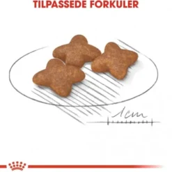 Royal Canin Mini Adult tørrfôr til hund