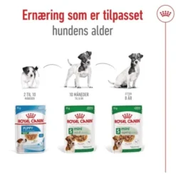 Royal Canin Mini Ageing Gravy våtfôr til hund 12x85 g