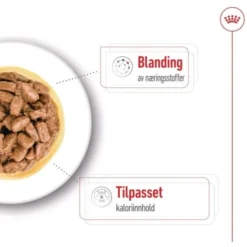 Royal Canin Mini Ageing Gravy våtfôr til hund 12x85 g