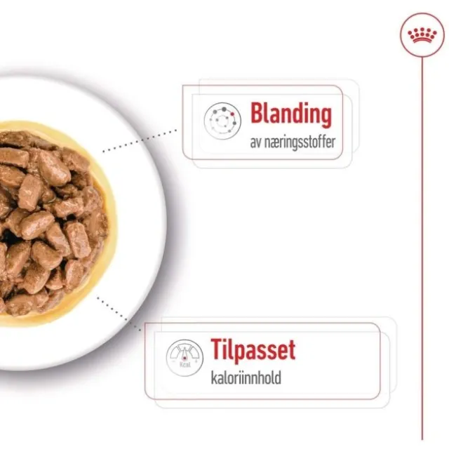 Royal Canin Mini Ageing Gravy våtfôr til hund 12x85 g