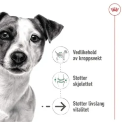 Royal Canin Mini Ageing Gravy våtfôr til hund 12x85 g