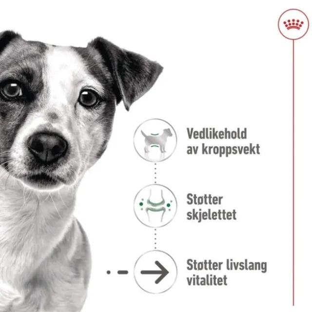 Royal Canin Mini Ageing Gravy våtfôr til hund 12x85 g