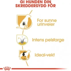 Royal Canin Miniature Schnauzer Adult tørrfôr til hund