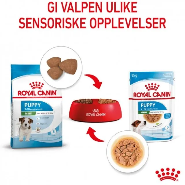 Royal Canin Mini Puppy våtfôr til valp 12x85g