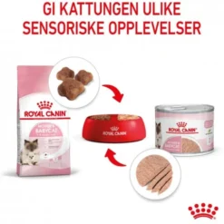Royal Canin Mother & Babycat Mousse