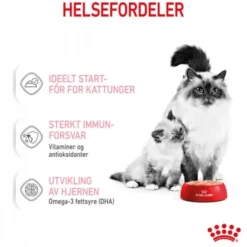 Royal Canin Mother & Babycat Mousse