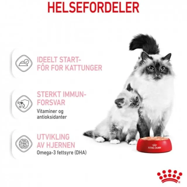 Royal Canin Mother & Babycat Mousse