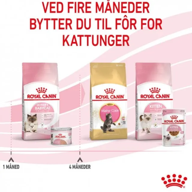 Royal Canin Mother & Babycat Mousse