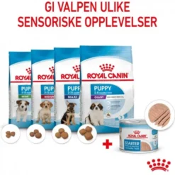 Royal Canin Mother & Babydog Starter Mousse våtfôr til hund og valp