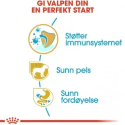 Royal Canin Poodle Puppy tørrfôr til hundvalp
