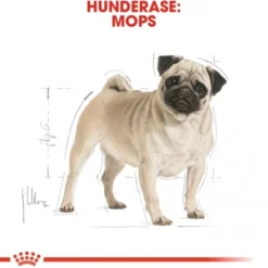 Royal Canin Pug Adult tørrfôr til hund