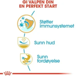 Royal Canin Pug Puppy tørrfôr til hundvalp