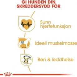 Royal Canin Rottweiler Adult tørrfôr til hund