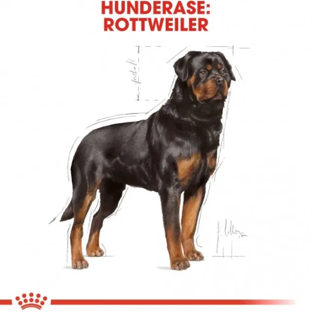 Royal Canin Rottweiler Adult tørrfôr til hund
