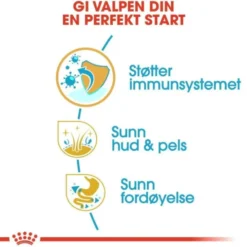 Royal Canin Shih Tzu Puppy tørrfôr til hundvalp