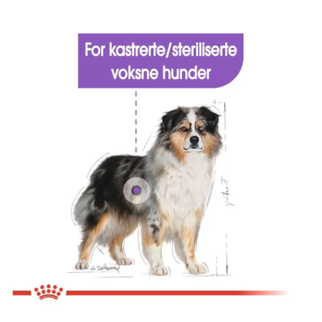 Royal Canin Sterilised Medium Adult tørrfôr til hund