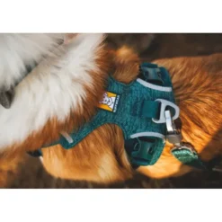 Ruffwear Front Range Flex Harness, Deep Teal