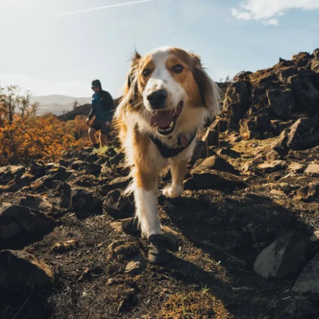 Ruffwear Ridgeline Shoes Obsidian Black